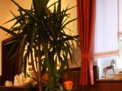 A 2013-01-13 16.09.42.JPG